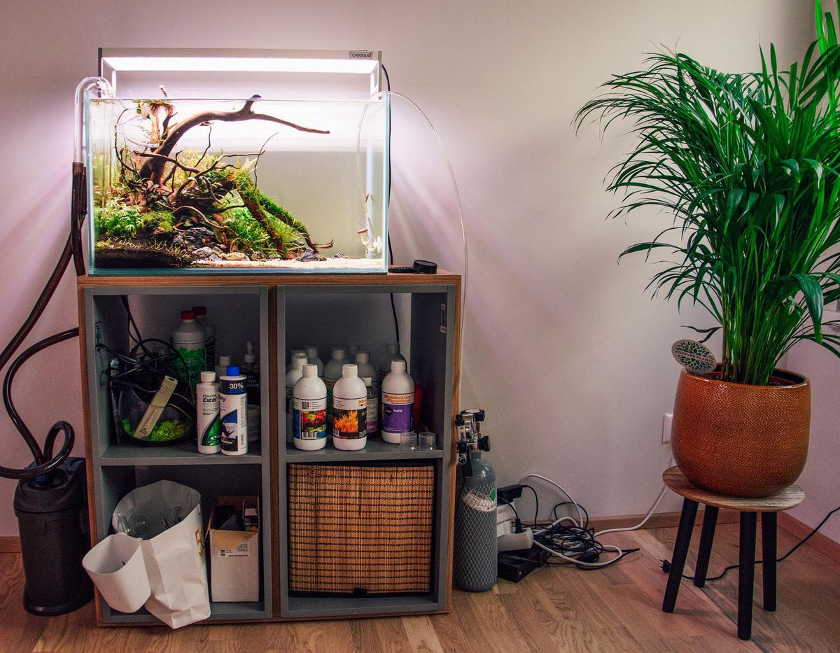 Best drop checker for a planted aquarium — a buying guide