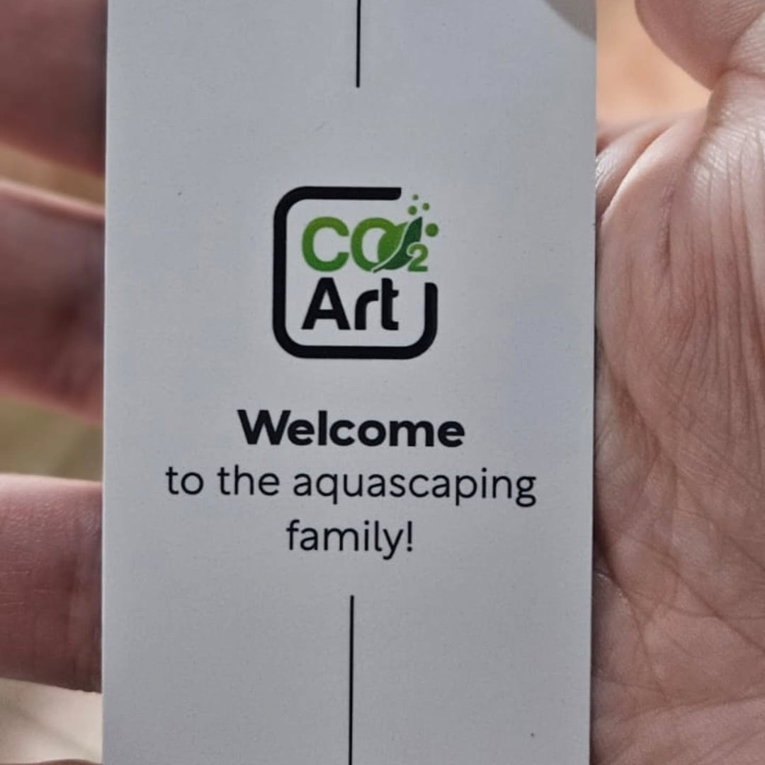 Instagram-bericht van @vale.aquascaper